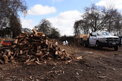 Firewood, a Splitter, a Truck, and Some Racks